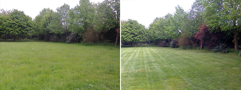 Before & After - Picture 4